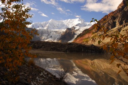 西藏米堆冰川扎洛图片