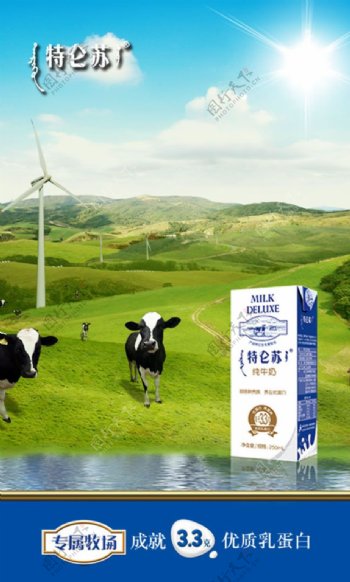 蒙牛特仑苏牛奶广告PSD素材