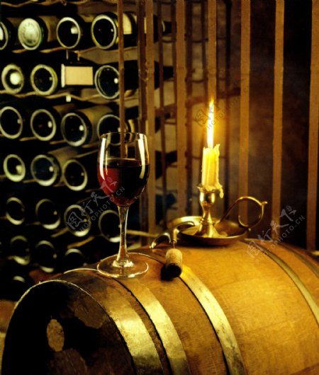 酒窖红酒庄园图片