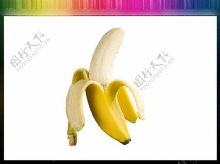 香蕉PPT透明模版