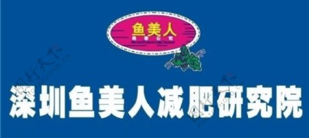 深圳鱼美人logo图片