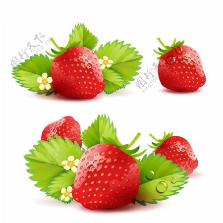 草莓主题背景矢量