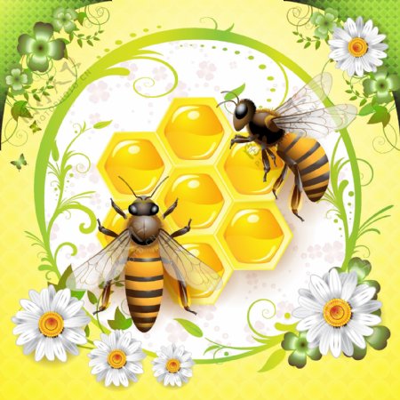 蜜蜂鲜花绿叶矢量图下载