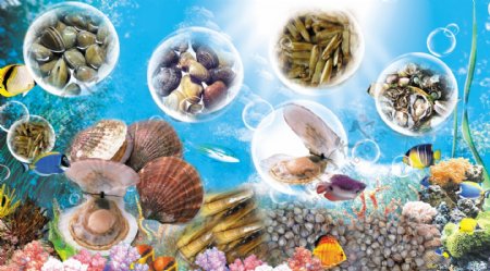 海底世界海贝水产品海报大型喷会海报