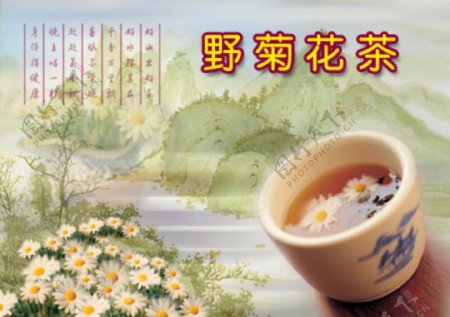 菊花茶系列