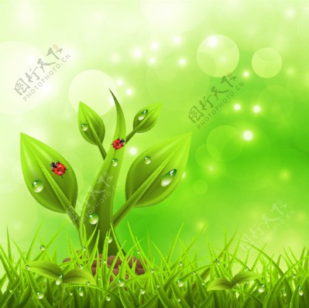 绿色环保背景图片