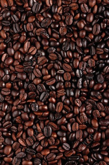 深棕色咖啡图案咖啡可可咖啡豆咖啡种子