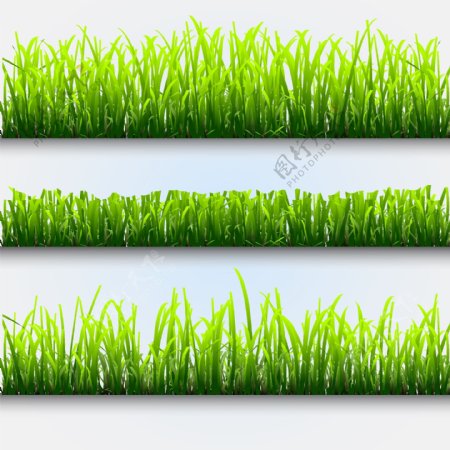 清爽绿色草坪矢量图