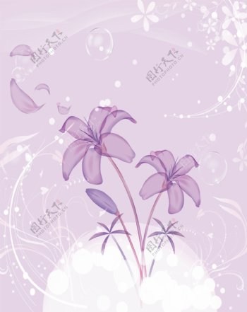 紫色百合透明花