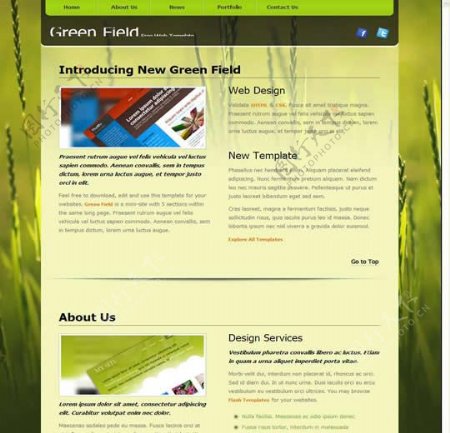 国外绿色创意网站模板