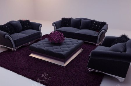 欧洲黑色毛皮的双人沙发欧式家具欧洲