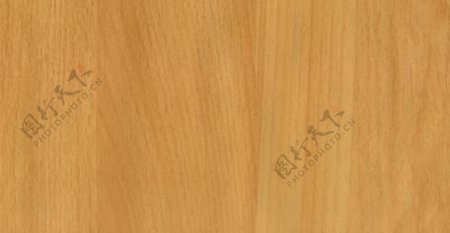 榉木08木纹木纹板材木质