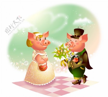小豬結婚