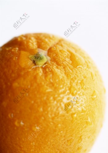 新鲜水果橙子橘子JPG