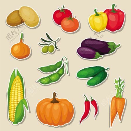 蔬菜设计图片