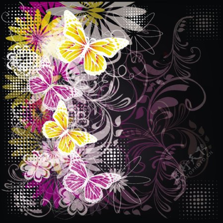花卉花纹蝴蝶背景图片