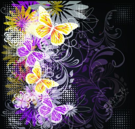 花卉花纹蝴蝶背景图片