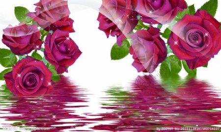 水中玫瑰图片