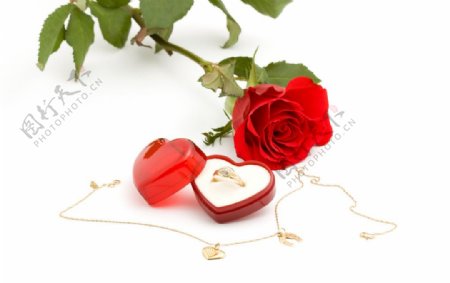 玫瑰和爱心礼盒戒指图片
