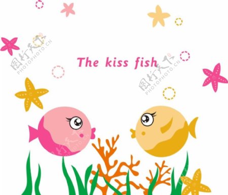 接吻鱼图片