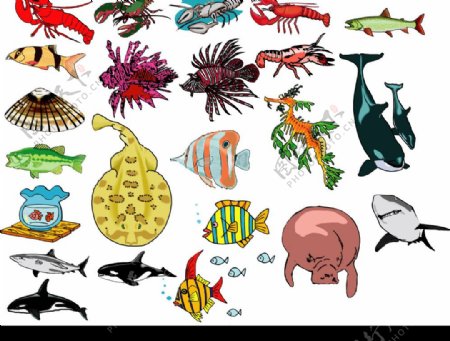 海洋生物636图片