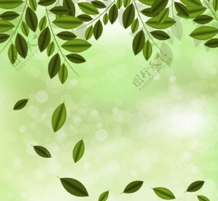 绿色树枝光晕背景矢量素材图片