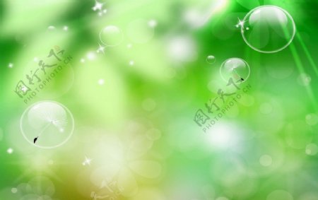 绿色水泡背景绿色水泡底图图片