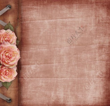 玫瑰花复古背景图片