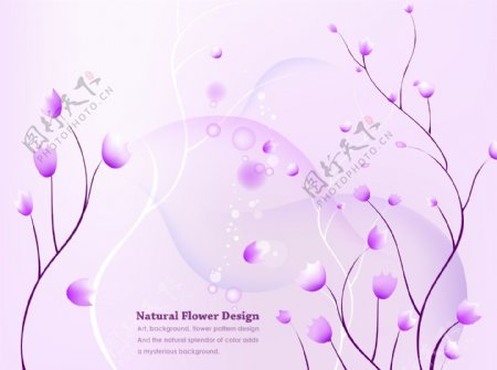 紫色花朵矢量背景图片