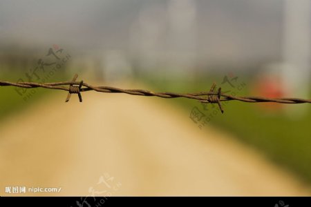铁丝蒺藜围栏的特写图片