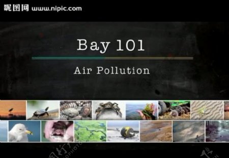 环保公益广告视频素材