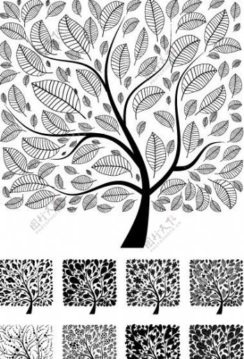 黑白花纹树木图片