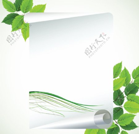 绿叶纸张绿叶边框图片