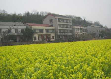 衡阳县风景图片