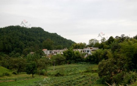 鄂东新农村图片