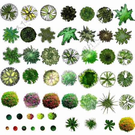 总平面植物图例图片
