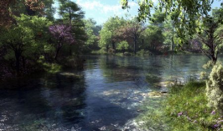 林中流水图片