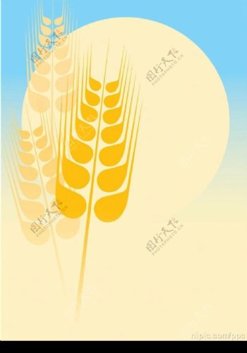 金色麦子矢量图图片