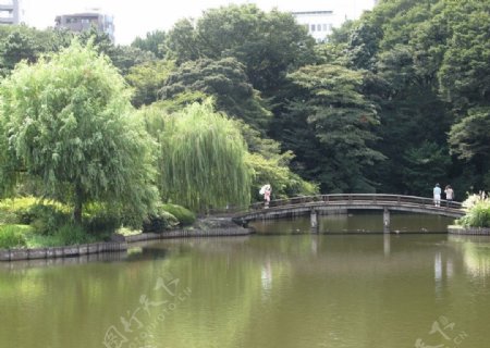 言叶之庭新宿御苑图片