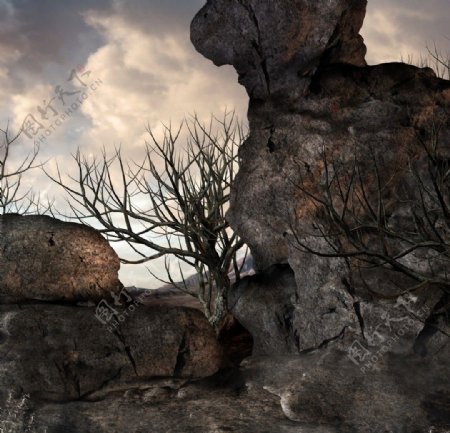 科幻世界畸形怪石死树图片