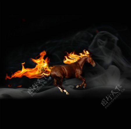 燃烧飞奔的马图片