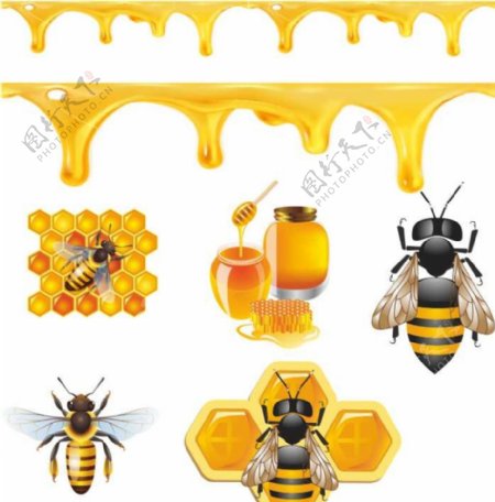 蜂蜜与蜜蜂设计矢量素图片