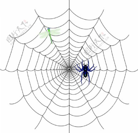 蜘蛛网矢量素材图片