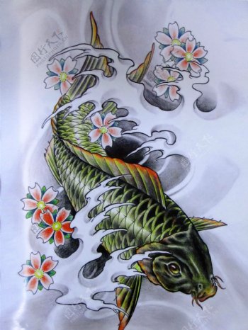 阿亮传统刺青画集彩色鲤鱼图片