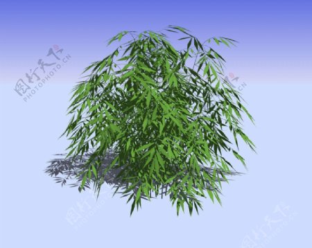 竹丛精细3D模型图片