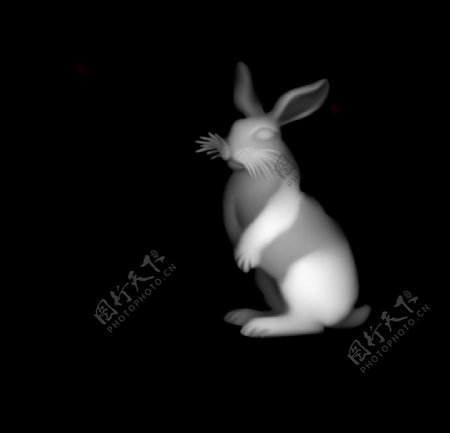 浮雕灰度图兔图片