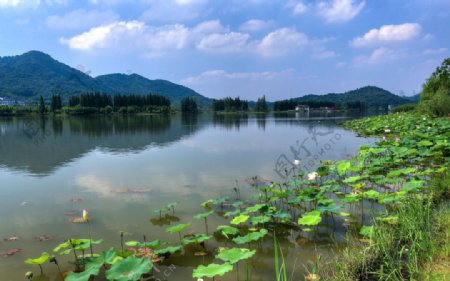 萧山湘湖图片