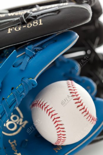 棒球棒球手套图片