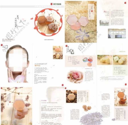 化妆品折页图片