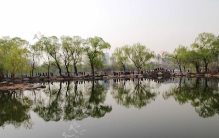 玉渊潭公园风光图片
